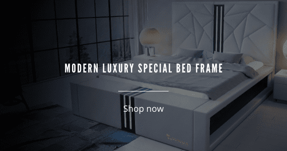 Modern Luxury Special Bed Frame (1)